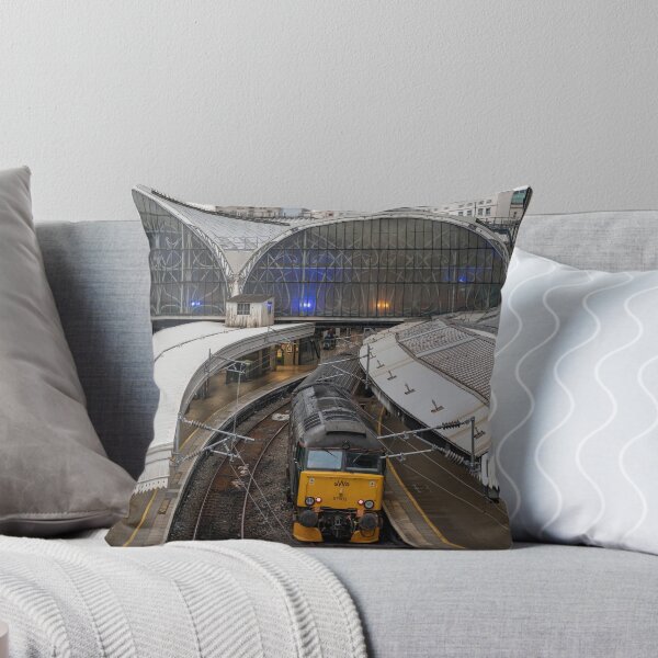 Item preview, Paddington Sleeper Empties designed and sold by hawkie.