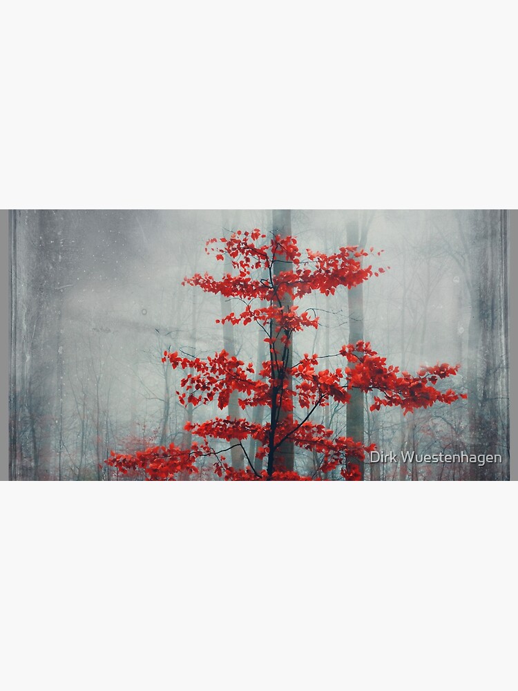 Wonder Tree - Small Beech Tree with Red Fall Foliage by DyrkWyst