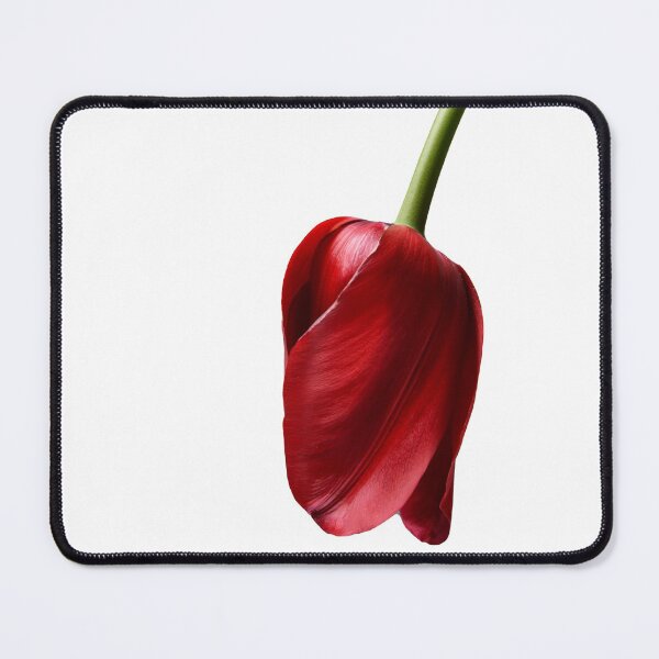 Item preview, Single Red Tulip designed and sold by Dreamscape Eclectic .