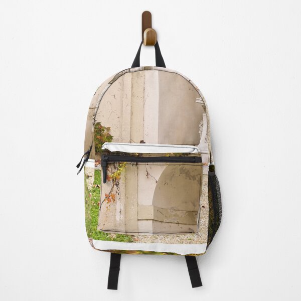 Item preview, statue and wall with creeper plant in Vienna autumn season designed and sold by goceris.