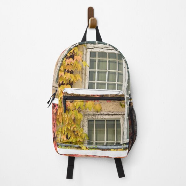 Vista previa del artículo con la obra «Pared con ventana de madera rústica y enredadera en la temporada de otoño de Viena», diseñado y vendido por goceris.