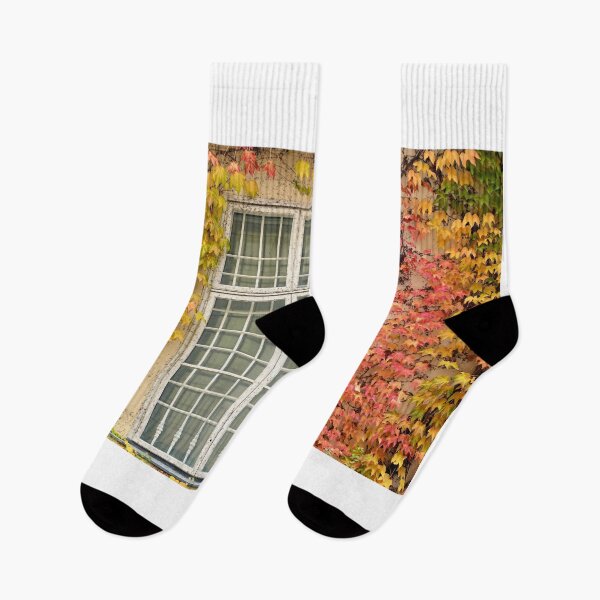 Item preview, wall with rustic wooden window and creeper in Vienna autumn season designed and sold by goceris.