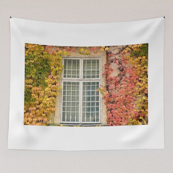 Item preview, wall with rustic wooden window and creeper in Vienna autumn season designed and sold by goceris.