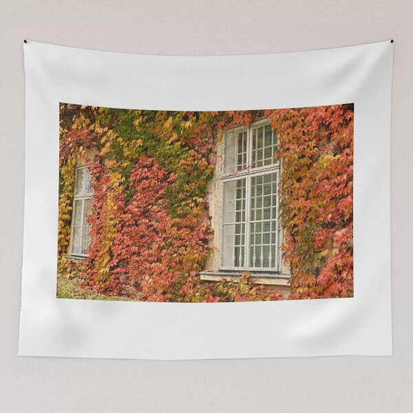 Item preview, wall with rustic wooden windows and creeper in Vienna autumn season designed and sold by goceris.