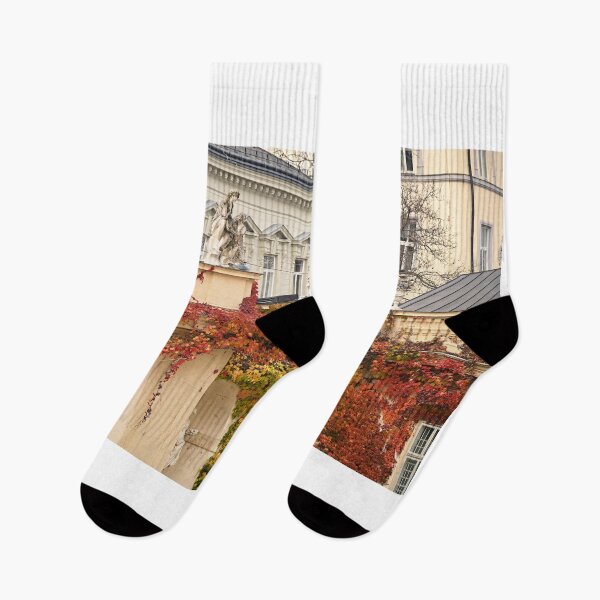 Item preview, old buildings covered with creeper colorful leaves in Vienna  designed and sold by goceris.