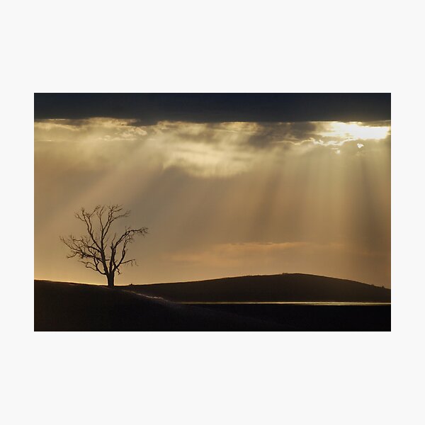 glory Photographic Print