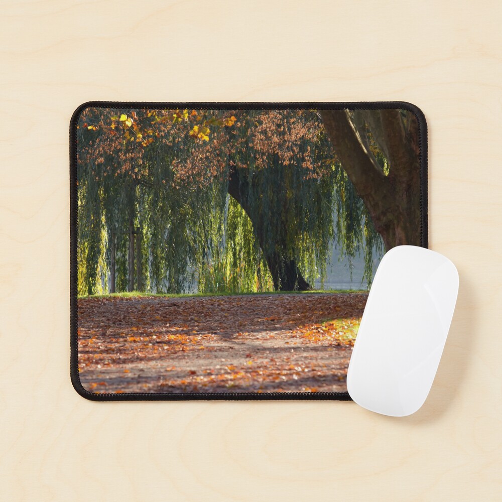 colourful autumn Mouse Pad