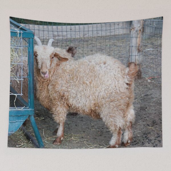 Item preview, Sassy Goat designed and sold by MissJades.