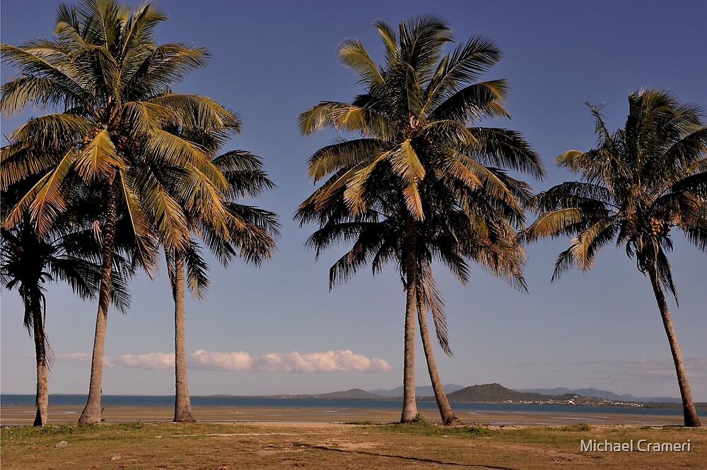 "North Queensland palm trees" by Michael Crameri Redbubble