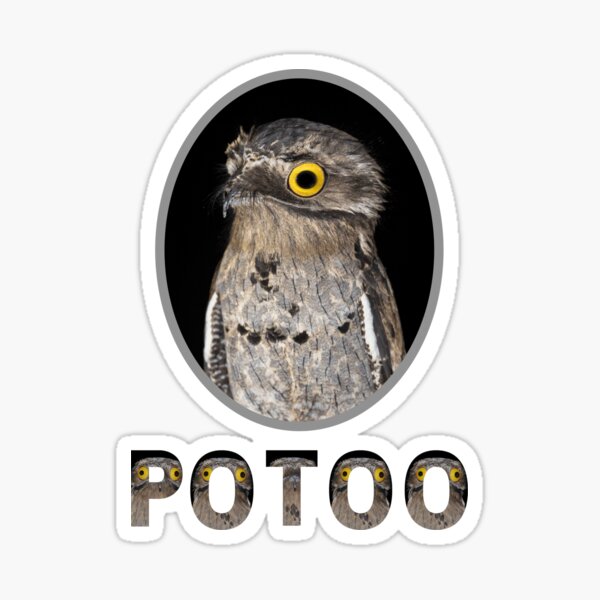 Item preview, Potoo Bird designed and sold by Red-ElYoubi.