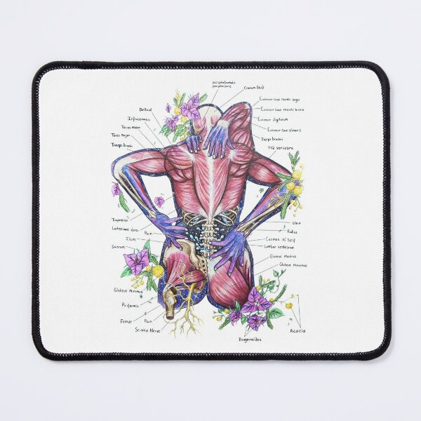 Item preview, Chronic Pain Labelled | Back Anatomy | Cosmic Floral Anatomy designed and sold by Karli Mogen.