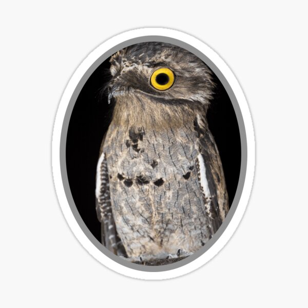 Item preview, Potoo Bird designed and sold by Red-ElYoubi.