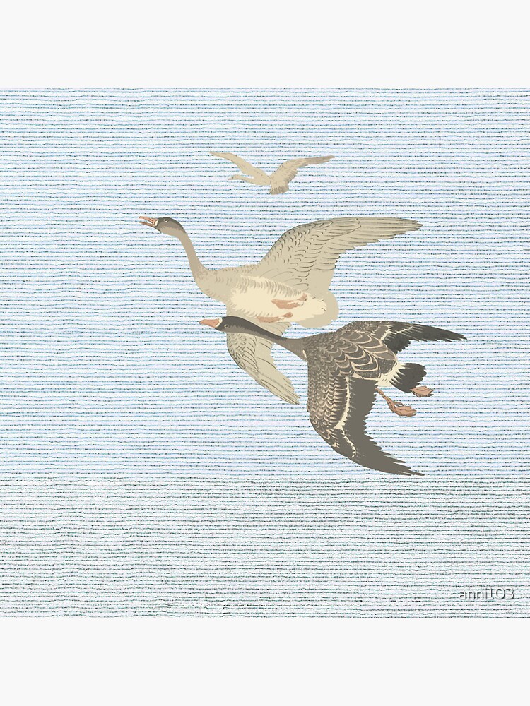 Nothing to match the flight of wild birds flying by anni103