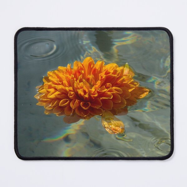 Item preview, Liquid Rainbows – Chrysanthemum Blossom Floating in the Sunshine designed and sold by Georgia Mizuleva.