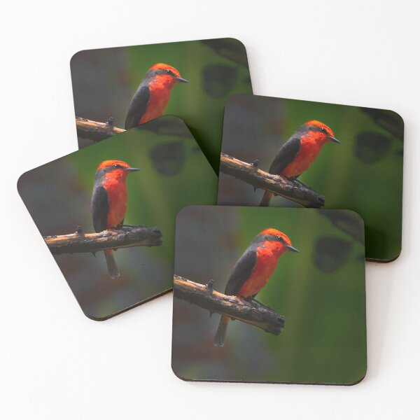 Item preview, The Brilliant Vermilion Flycatcher designed and sold by alabca.