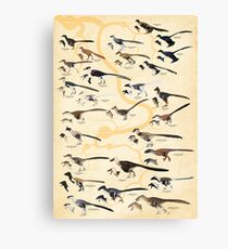 Dromaeosaurid Dinosaurs (version 2) Canvas Print