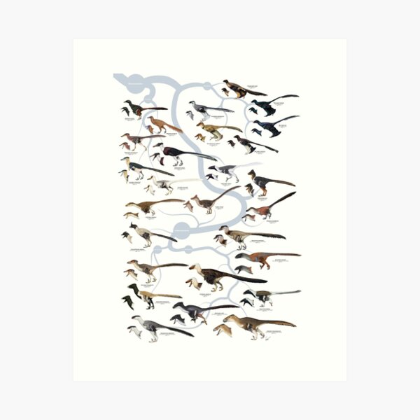 Dromaeosaurid Dinosaurs (version 1) Art Print