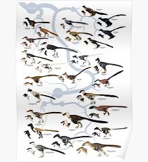Dromaeosaurid Dinosaurs (version 1) Poster