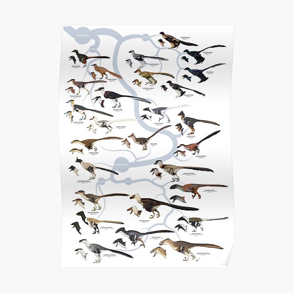 Dromaeosaurid Dinosaurs (version 1) Poster