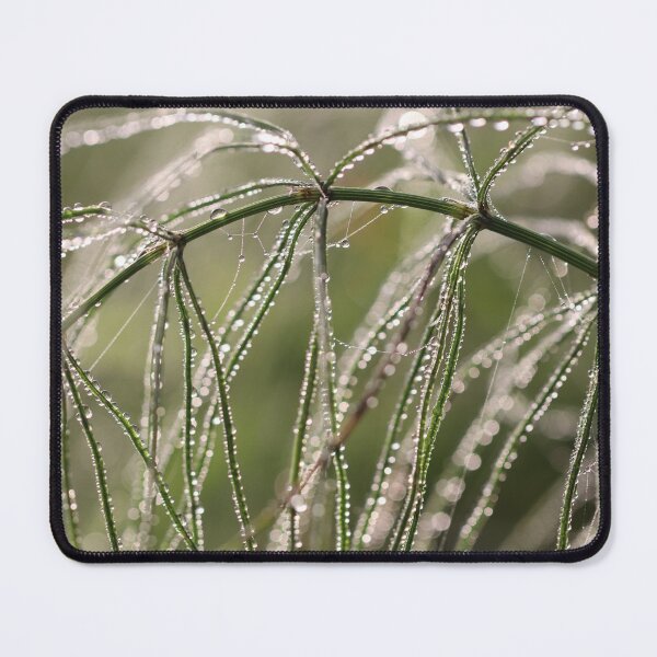 Item preview, Early Morning Bliss designed and sold by cuprum.