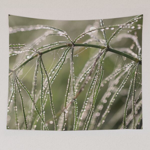 Item preview, Early Morning Bliss designed and sold by cuprum.