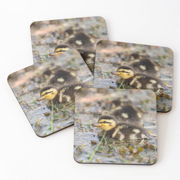 Item preview, Mallard duckling designed and sold by GreyFeatherPhot.
