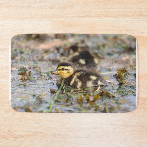Item preview, Mallard duckling designed and sold by GreyFeatherPhot.