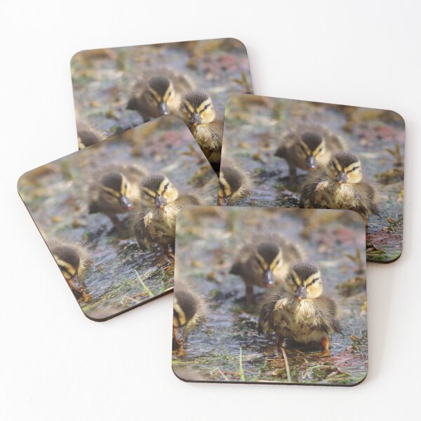 Item preview, Duckling attitude designed and sold by GreyFeatherPhot.