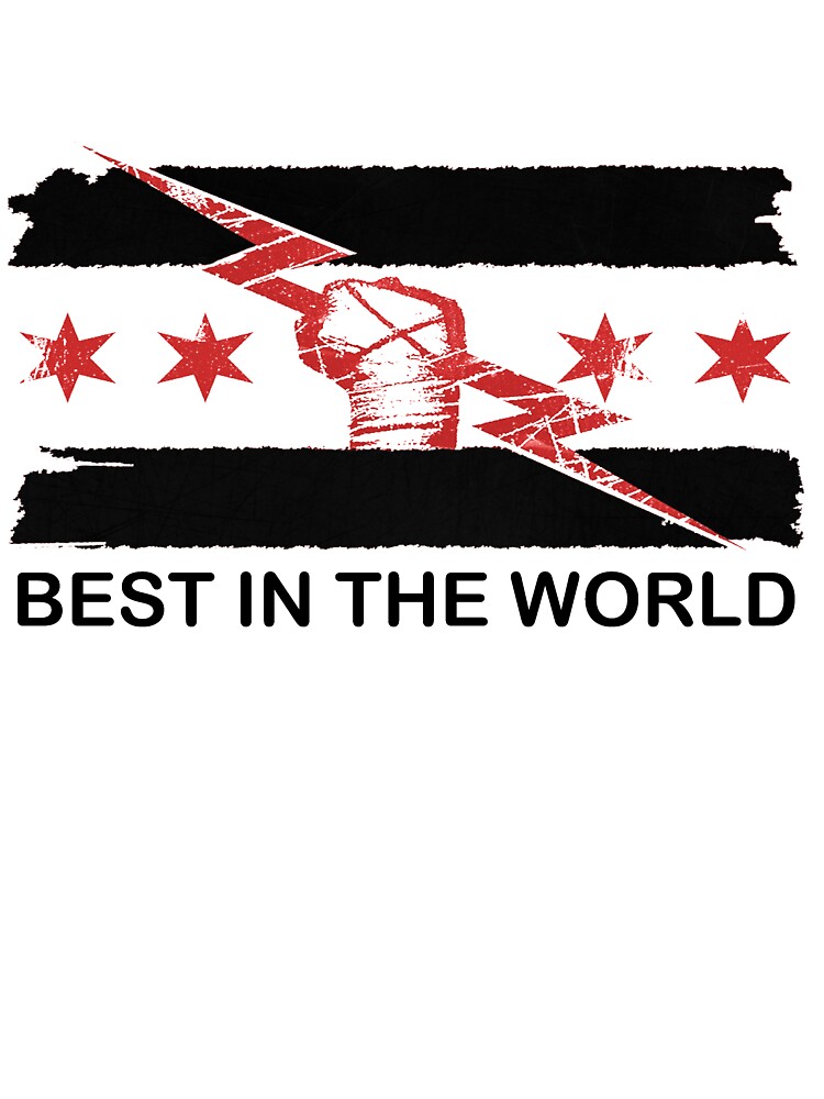 cm punk cm punk