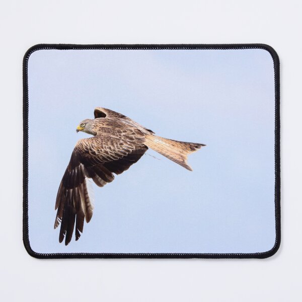 Item preview, Soaring red kite designed and sold by GreyFeatherPhot.