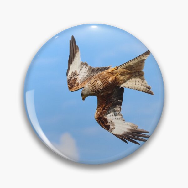 Item preview, Diving red kite designed and sold by GreyFeatherPhot.