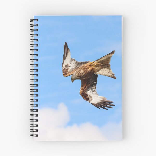 Item preview, Diving red kite designed and sold by GreyFeatherPhot.