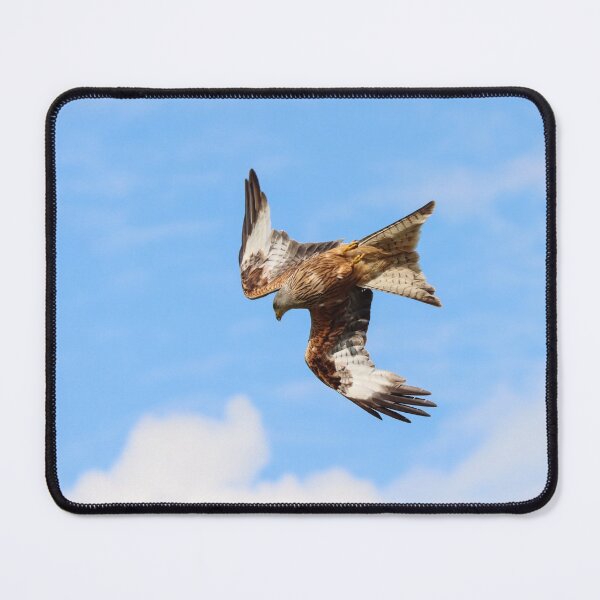 Item preview, Diving red kite designed and sold by GreyFeatherPhot.