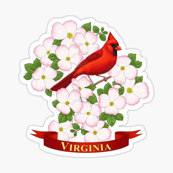 Virginia State Cardinal Bird and Dogwood Flower Sticker