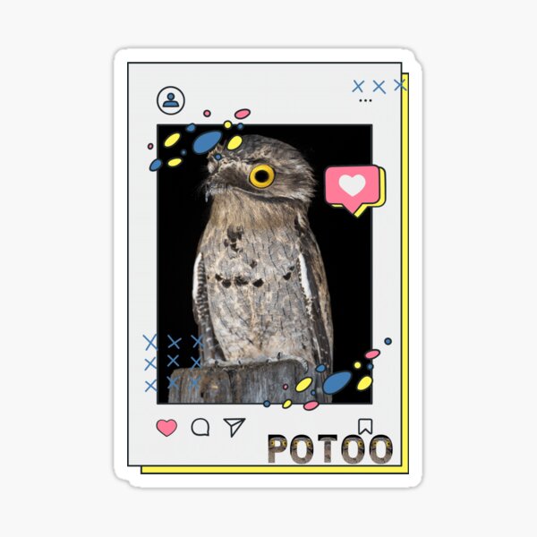 Item preview, Potoo Bird Master Of Camouflage-The Elegant Great Potoo Bird designed and sold by Red-ElYoubi.