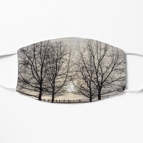 Break Through Flat Mask