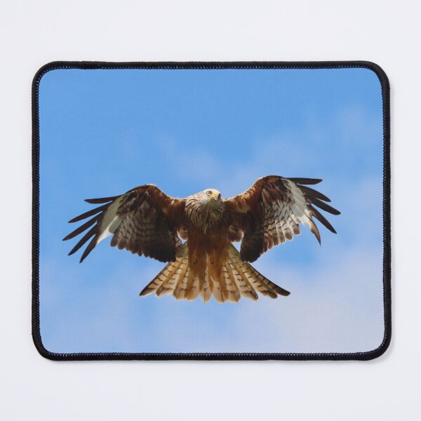Item preview, Red kite head on designed and sold by GreyFeatherPhot.