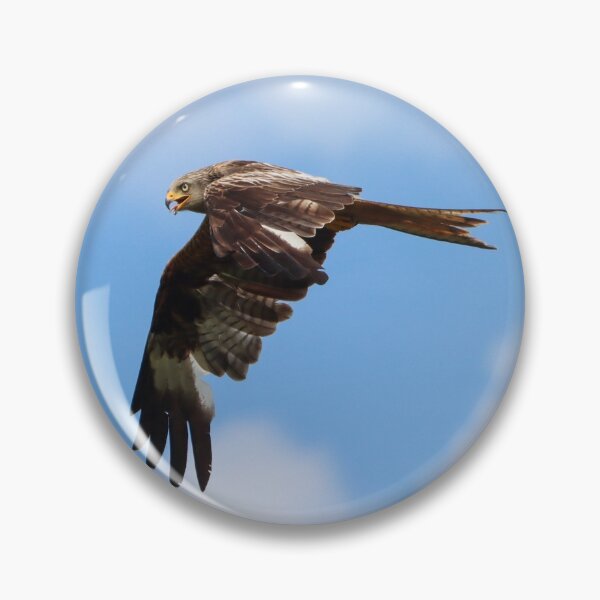 Item preview, Welsh red kite designed and sold by GreyFeatherPhot.