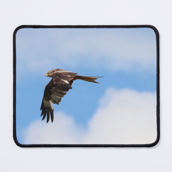 Item preview, Welsh red kite designed and sold by GreyFeatherPhot.