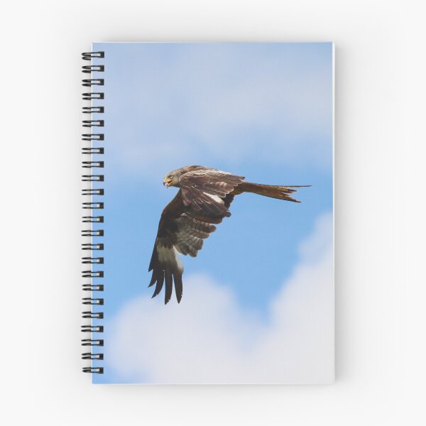 Item preview, Welsh red kite designed and sold by GreyFeatherPhot.