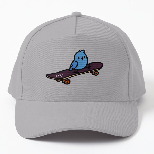 skateboard hats for sale