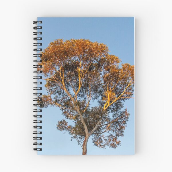 Item preview, Catching the Sunrise designed and sold by AGDimages.