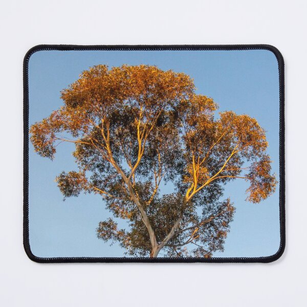 Item preview, Catching the Sunrise designed and sold by AGDimages.