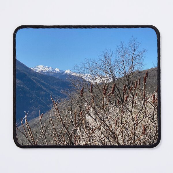 Item preview, Montcalm massif, flowers and snow from Lapege designed and sold by AHELENE.