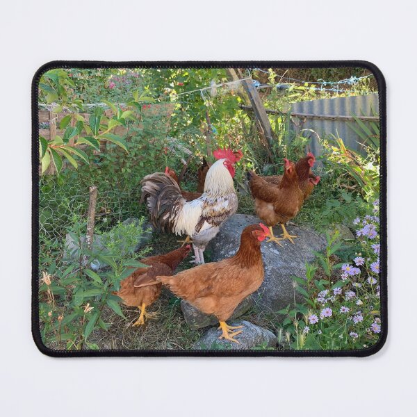 Item preview, Lower courtyard designed and sold by AHELENE.
