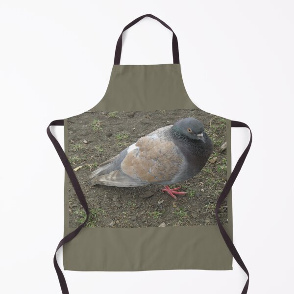 Item preview, Pretty Brown and Grey Pigeon Photograph designed and sold by naturegallery.