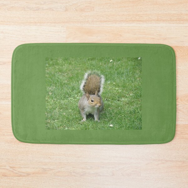 Item preview, Squirrel with its tail up Photograph designed and sold by naturegallery.