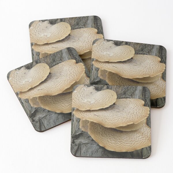 Item preview, Dryads Saddle Fungus on a Tree Trunk Photograph designed and sold by naturegallery.