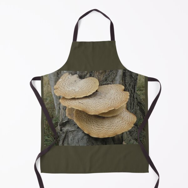 Item preview, Dryads Saddle Fungus on a Tree Trunk Photograph designed and sold by naturegallery.