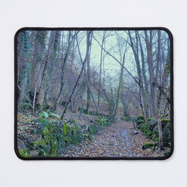 Item preview, Forest path designed and sold by AHELENE.